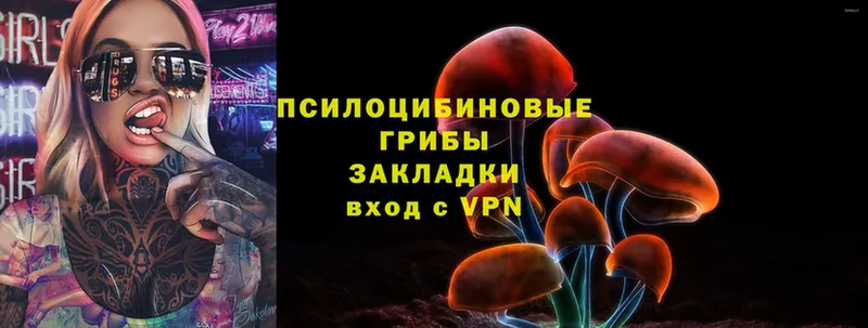 Псилоцибиновые грибы Magic Shrooms  кракен зеркало  Козьмодемьянск 